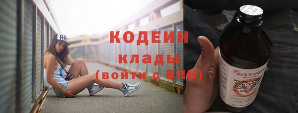 дурь Туринск