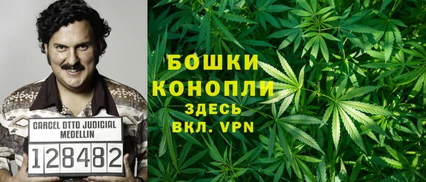 крисы Горно-Алтайск