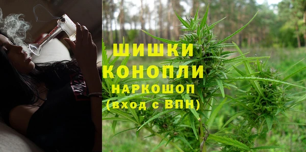 apvp Горнозаводск