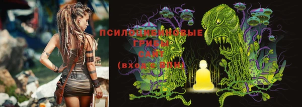крисы Горно-Алтайск