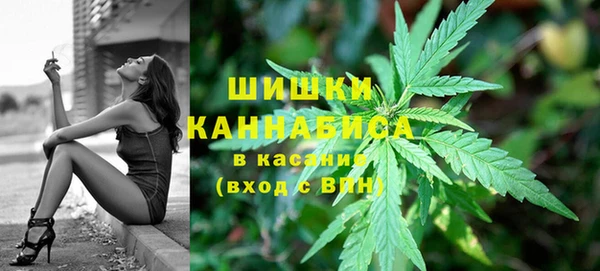 apvp Горнозаводск